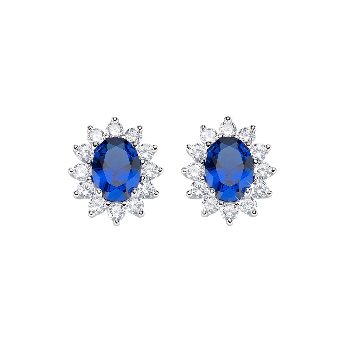 Royal Lady Blue Zircon Earrings Amen